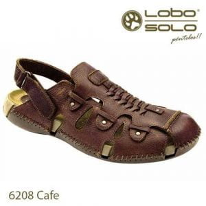 Lobo Solo 6208