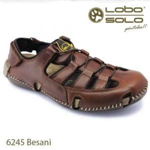 Lobo Solo 6245