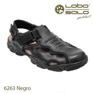 Lobo Solo 6263