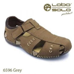 Lobo Solo 6596