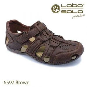 Lobo Solo 6597