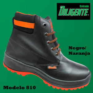 Diligente 810