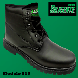 Diligente 815