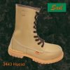 Sail_3443_Hueso.jpg