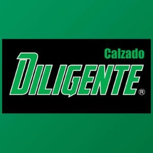 Diligente
